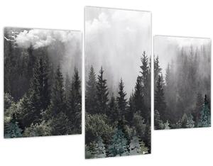 Kép - Erdő illusztrált elemekkel (90x60 cm)