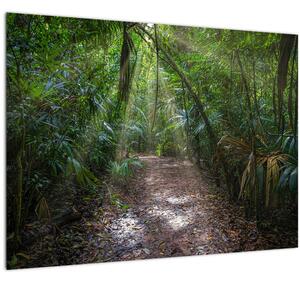 Kép - Napsugarak a dzsungelben (üvegen) (70x50 cm)