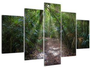 Kép - Napsugarak a dzsungelben (150x105 cm)