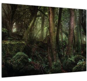 Kép - Titokzatos erdő (üvegen) (70x50 cm)