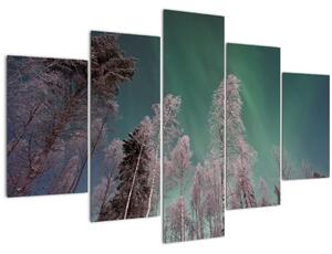 Az aurora borealis képe fagyos fák felett (150x105 cm)