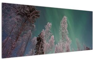 Az aurora borealis képe fagyos fák felett (120x50 cm)
