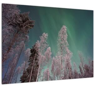 Az aurora borealis képe fagyos fák felett (70x50 cm)