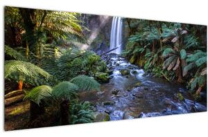 Ausztrál esőerdő képe (120x50 cm)