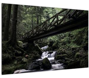 Fekete erdő képe (90x60 cm)