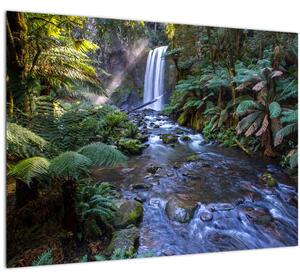 Ausztrál esőerdő képe (üvegen) (70x50 cm)