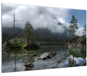 Fák a tóban képe (90x60 cm)