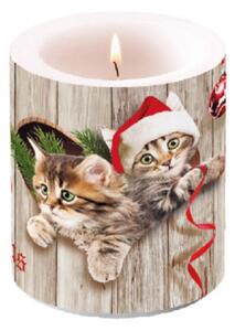 Karácsonyi Átvilágítós Gyertya - Curious Kittens - 10x10cm