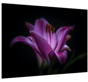 A liliom képe (70x50 cm)