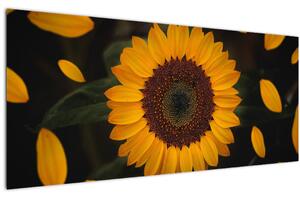 Kép - Napraforgók és a virágszirmok (120x50 cm)
