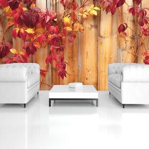 Fotótapéta - Őszi levelek (152,5x104 cm)