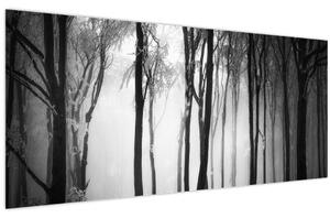 Kép - Farkas a sötét erdőben (120x50 cm)