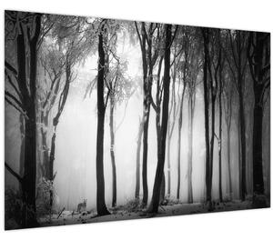 Kép - Farkas a sötét erdőben (90x60 cm)