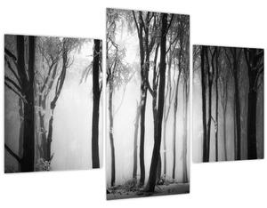 Kép - Farkas a sötét erdőben (90x60 cm)