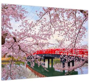 Kép - Hirosaki, Japán (70x50 cm)