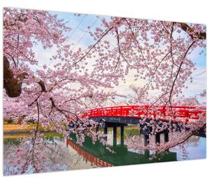 Kép - Hirosaki, Japán (90x60 cm)