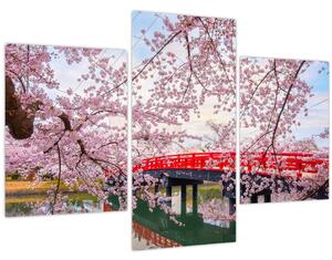 Kép - Hirosaki, Japán (90x60 cm)
