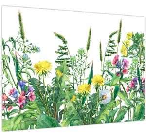 Kép - Festett réti virágok (70x50 cm)