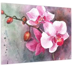 Kép - Orchideák, akvarell (70x50 cm)