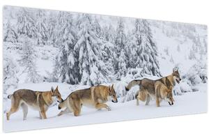 Kép - Farkasok a hegyekben (120x50 cm)