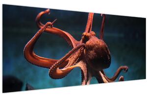 Kép - Octopus (120x50 cm)