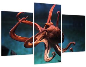 Kép - Octopus (90x60 cm)
