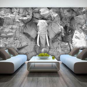 Fotótapéta - A sziklákba vésett elefánt - szürke (152,5x104 cm)