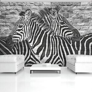 Fotótapéta - Festett zebrák egy téglafalra (152,5x104 cm)