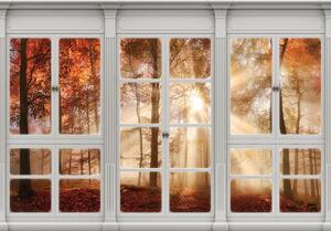 Fotótapéta - Őszi ablak kilátás - erdő (152,5x104 cm)
