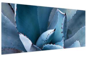 Kép - Agave (120x50 cm)