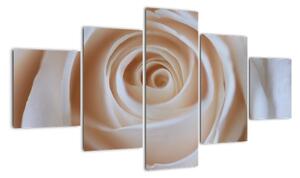 Modern kép - virágok (125x70cm)