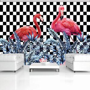 Fotótapéta - Flamingók (254x184 cm)