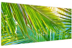 Kép - Pálmalevelek (120x50 cm)