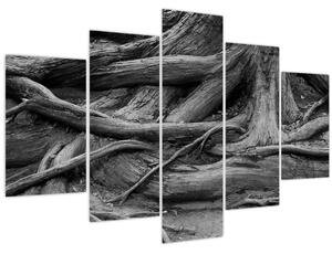 Kép - A fa gyökerei (150x105 cm)