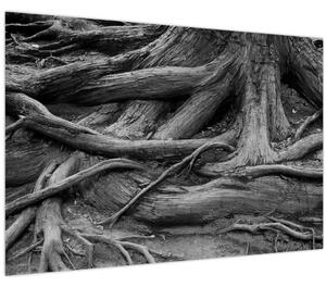 Kép - A fa gyökerei (90x60 cm)