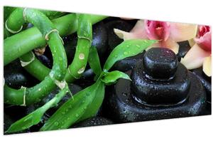 Kép - Kövek és orchideák (120x50 cm)