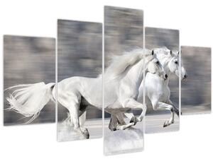 Kép - Fehér lovak télen (150x105 cm)