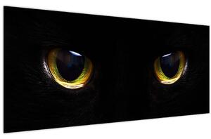 Kép - Macskaszemek (120x50 cm)