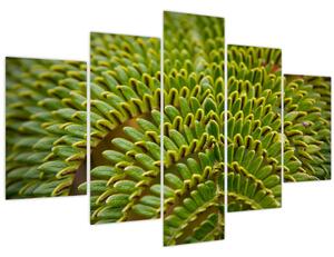 Kép - Fern (150x105 cm)