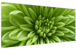 Kép - Makro kép egy növényről (120x50 cm)