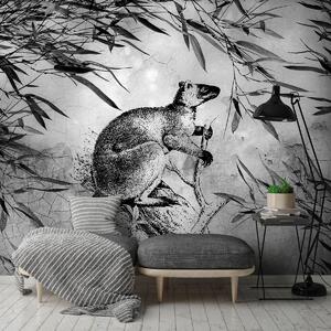 Fotótapéta - Fekete-fehér kenguru (152,5x104 cm)