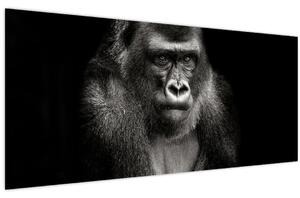 Kép - Gorilla (120x50 cm)
