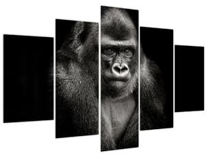 Kép - Gorilla (150x105 cm)