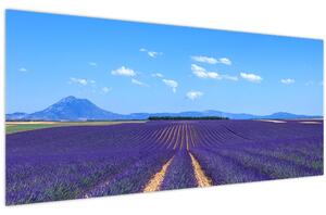 Kép - Levendula mező (120x50 cm)
