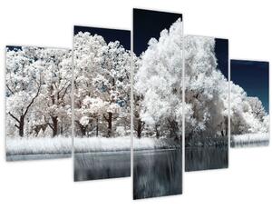 Kép - Hófehér fák (150x105 cm)