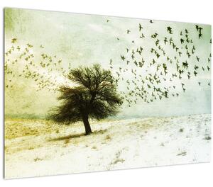 Kép - Festett madárállomány (90x60 cm)