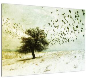 Kép - Festett madárállomány (70x50 cm)
