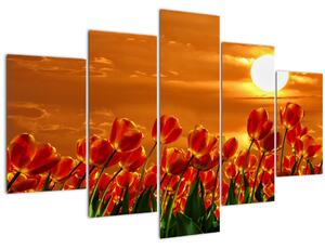 Kép egy virágzó mező tulipánokkal (150x105 cm)