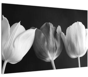 Kép - fekete-fehér tulipán virág (90x60 cm)