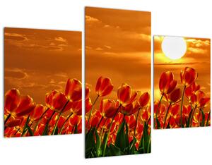 Kép egy virágzó mező tulipánokkal (90x60 cm)